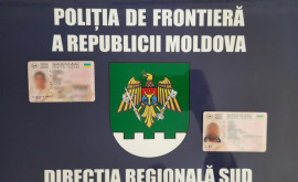 Два поддельных водительских удостоверения обнаружены на пограничном пункте Кагула