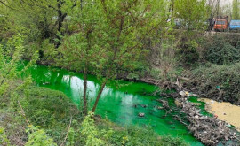  Apă unui rîu din Chișinău este verde Explicația specialiștilor