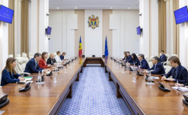 Ce a discutat primministrul Moldovei cu ministrul de externe al Olandei 