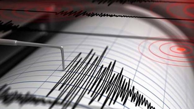 Cutremur de magnitudine importantă la ora 5 dimineața în Vrancea