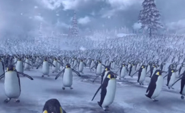 СантаКлаусы сразились c 11 тысячами пингвинов ВИДЕО