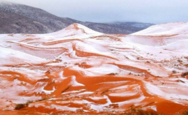 A nins în Sahara pentru prima dată în ultimii 37 de ani FOTO