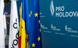 Еще один депутат от PRO Moldova поддержит на выборах Виолету Иванову