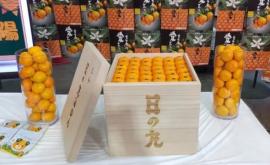 O ladă de mandarine japoneze vîndută cu aproape 10000 de dolari