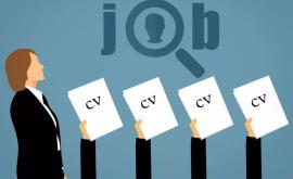 Peste opt mii de locuri vacante pe piaţa muncii din R Moldova