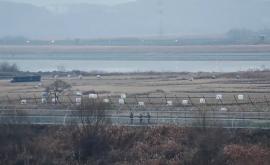 Coreea de Nord Un bărbat a sărit un gard de trei metri înălţime 