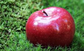 Одно яблоко в день может защитить от инфаркта