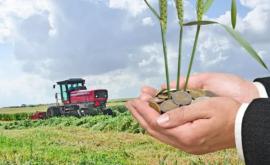  Mudreac a anunțat cîți bani vor fi alocați pentru agricultură în 2021