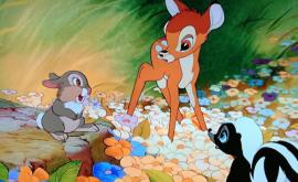 Braconier din SUA condamnat să se uite timp de un an la filmul Bambi