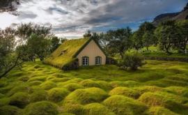 Почему в Исландии зарывали дома под землю В чем секрет древней архитектуры ФОТО