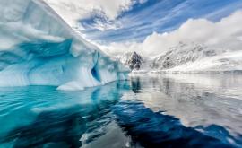 СМИ сообщили о первых случаях коронавируса в Антарктиде