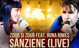 PREMIERA Zdob și Zdub feat Irina Rimes Sînziene Bestiarium Live