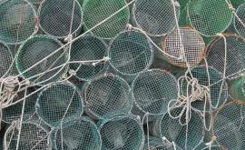 В Молдове до 2030 года запрещен импорт некоторых рыболовных сетей