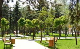 В Кишиневе за год преобразились многие парки скверы и зеленые зоны