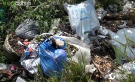 Жители столицы выбрасывают мусор в реку Бык
