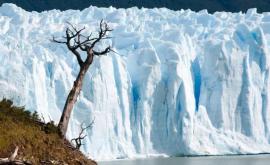 Veriga lipsă care poate explica erele glaciare de pe Pămînt