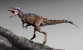 Ученые определили что детеныши тираннозавров были размером с собаку