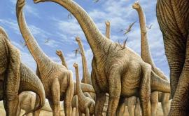 În Patagonia a fost descoperit cel mai mare dinozaur găsit vreodată