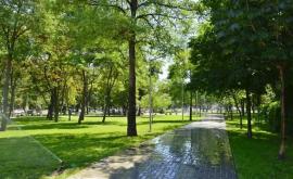Чебан Все восстановленные зеленые зоны Кишинева будут иметь систему полива