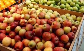 Молдавские яблоки не выдерживают конкуренции с импортными
