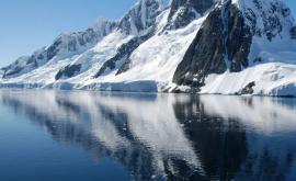 Под льдами Антарктиды обнаружены удивительные организмы
