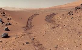 Найдены микроорганизмы способные выжить на Марсе