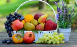 Российские учёные создали плёнкусенсор для выявления пестицидов на овощах и фруктах