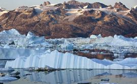 В Гренландии под 15километровым слоем льда нашли растения