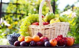 Pomicultorii din Moldova cer subvenționarea a noi soiuri de fructe și struguri