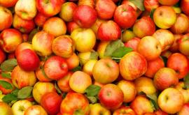 Rusia nu a permis intrarea în țară a mai mult de 20 de tone de mere din Moldova