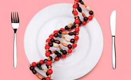 Рацион по ДНК есть ли преимущества у генетических диет