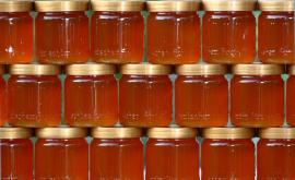 Продажу меда незарегистрированными пчеловодами следует разблокировать