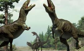 Dinozaurii din specia Tyrannosaurus rex ar fi vânat în haite la fel ca lupii