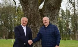 Despre ce au discutat Dodon și Lukașenko în cadrul întîlnirii informale