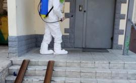 В Кишиневе проводят работы по дезинсекции и дератизации в подвалах жилых домов