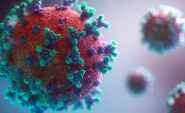 Обнаружена мутация научившая коронавирус заражать человека
