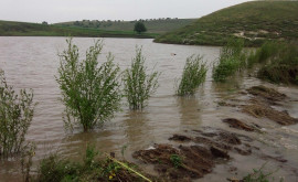 Ploile au distrus culturile agricole din mai multe localități