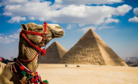 Важно Какие туристы из Молдовы могут въехать в Египет без ПЦРтестов