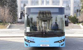 На улицах столицы появятся сто новых автобусов