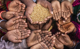 Страны G20 договорились усилить борьбу с голодом во всем мире