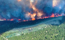 Аномальная жара и масштабный лесной пожар в Канаде более 130 жертв