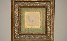 Набросок Голова медведя Леонардо да Винчи выставят на аукционе