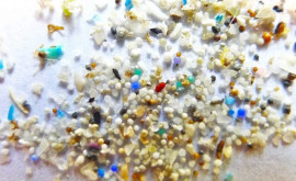 Новый миниатюрный экоробот чистит воду от микропластика