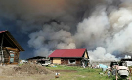 Incendii în Siberia Cea mai rece regiune din lume a fost cuprinsă de flăcări