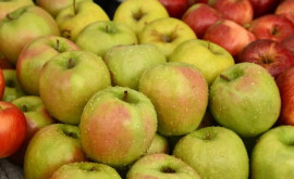Producătorii de fructe din Moldova întîmpină probleme la vînzarea merelor 