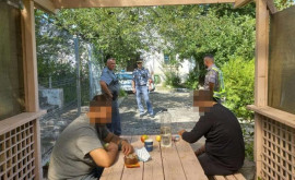 Водитель из Молдовы передал полиции Румынии афганцев прятавшихся в его грузовике