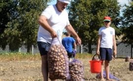 Лукашенко объяснил свое увлечение арбузами и картофелем