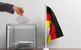 Выборы в Германии по результатам опросов лидируют социалдемократы