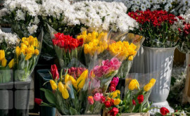 Владельцы цветочных киосков угрожают протестными акциями