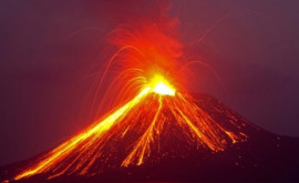 Крупные извержения вулканов привели к появлению динозавров